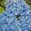 Flowers Blue Hydrangea Diamond Painting