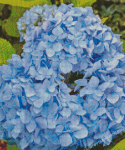 Flowers Blue Hydrangea Diamond Painting