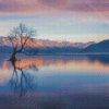 Lake Wanaka Sky Reflection Diamond Painting