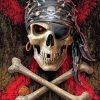 Pirate Skull Diamond Painting