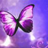 Purple Butterfly Diamond Painting