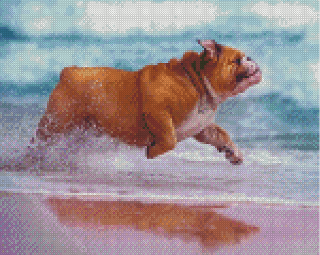 Running Dog In Beach Diamond Painting