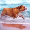 Running Dog In Beach Diamond Painting