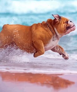 Running Dog In Beach Diamond Painting