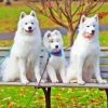 Samoyed Dogs Diamond Painting