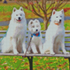 Samoyed Dogs Diamond Painting