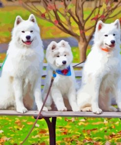 Samoyed Dogs Diamond Painting