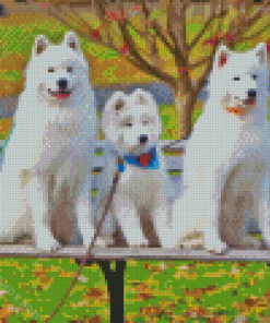 Samoyed Dogs Diamond Painting