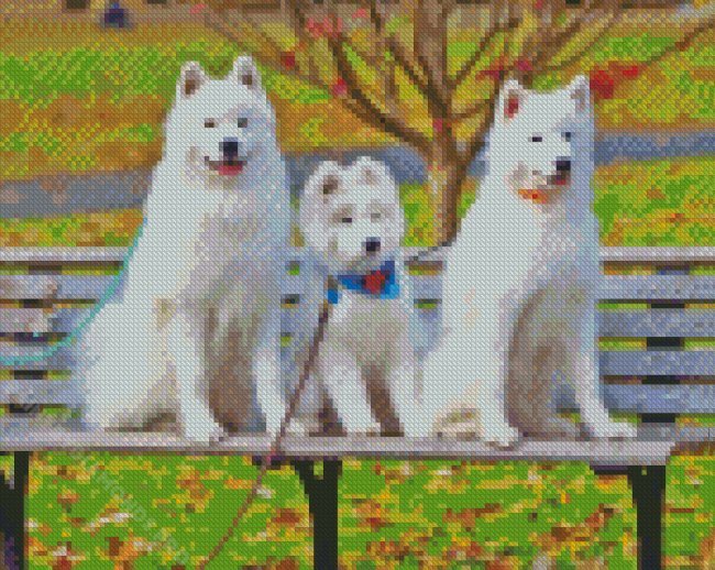 Samoyed Dogs Diamond Painting