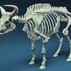 Skeleton Bull Animal Diamond Painting