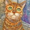 Tabby Kitten Diamond Painting