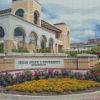 Texas State University Diamond Painting