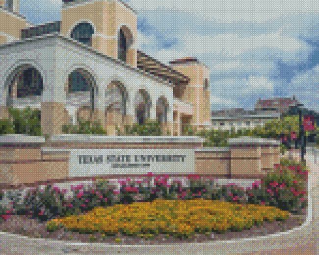 Texas State University Diamond Painting