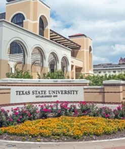 Texas State University Diamond Painting