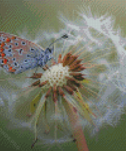 White Dandelion Butterflies Diamond Painting