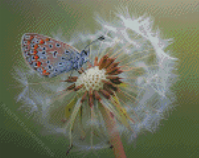 White Dandelion Butterflies Diamond Painting