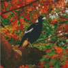 Australian Magpies Bird Diamond Painting