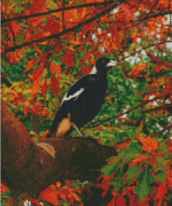 Australian Magpies Bird Diamond Painting