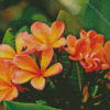 Blooming Orange Plumerias Diamond Painting