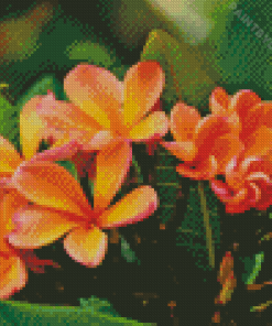 Blooming Orange Plumerias Diamond Painting