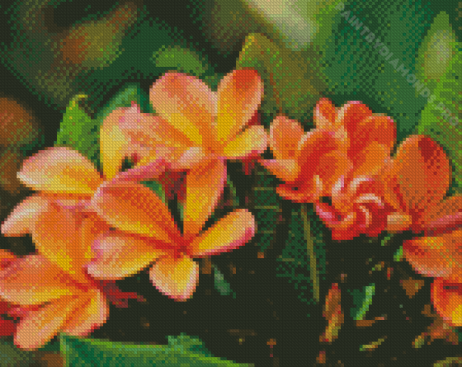 Blooming Orange Plumerias Diamond Painting