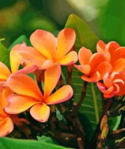 Blooming Orange Plumerias Diamond Painting