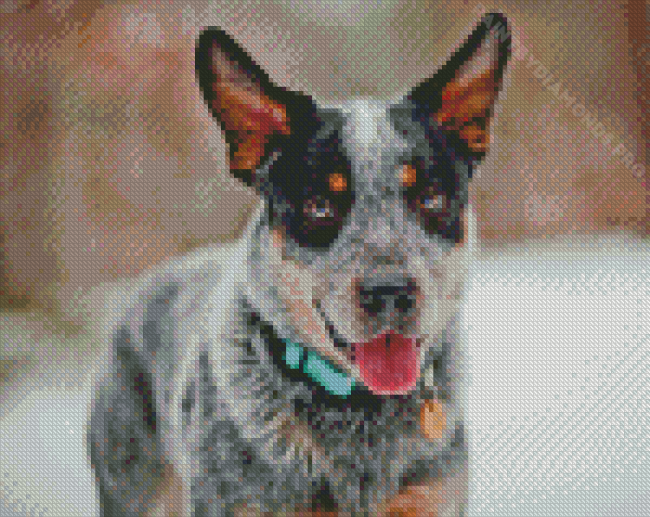 Blue Healer Diamond Painting