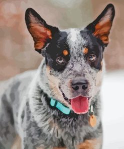 Blue Healer Diamond Painting