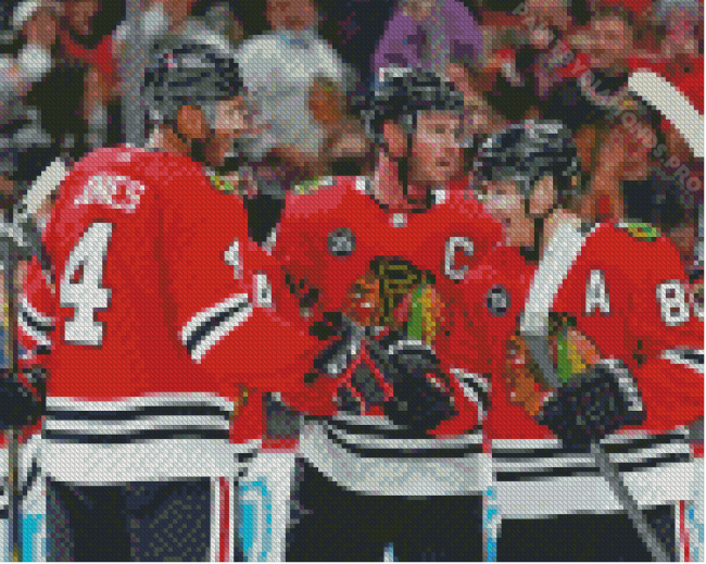 Chicago Blackhawks Team Diamond Painting