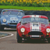 Classic Cobra Le Mans Cars Diamond Painting