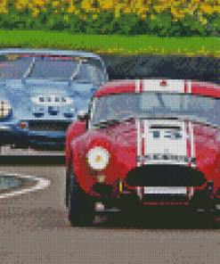 Classic Cobra Le Mans Cars Diamond Painting