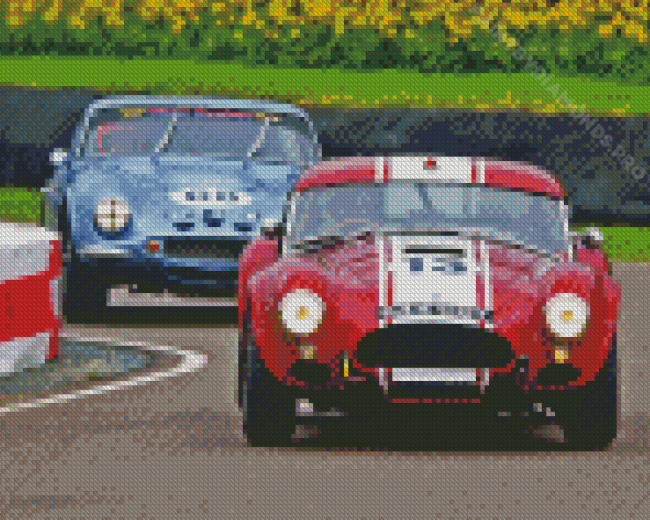 Classic Cobra Le Mans Cars Diamond Painting