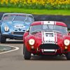 Classic Cobra Le Mans Cars Diamond Painting