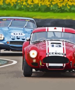 Classic Cobra Le Mans Cars Diamond Painting