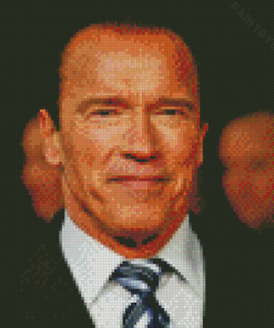 Classy Arnold Schwarzenegger Diamond Painting