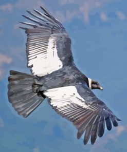 Condor Bird Flying Diamond Painting