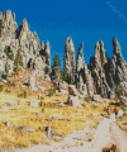 Custer State Park Diamond Painting