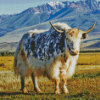 Domestic Yak Diamond Painting