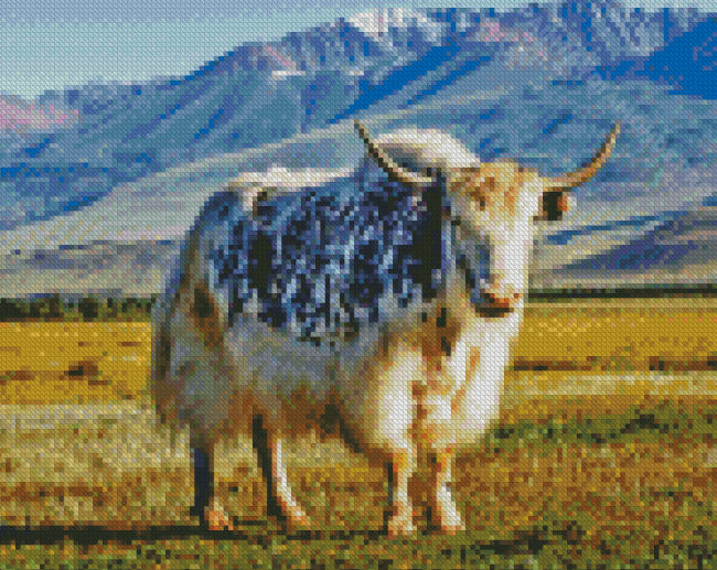 Domestic Yak Diamond Painting