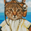 Female Pilot Cat Diamond Painting