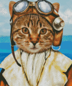 Female Pilot Cat Diamond Painting