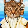 Female Pilot Cat Diamond Painting