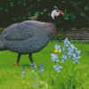 Guineafowl Bird Diamond Painting