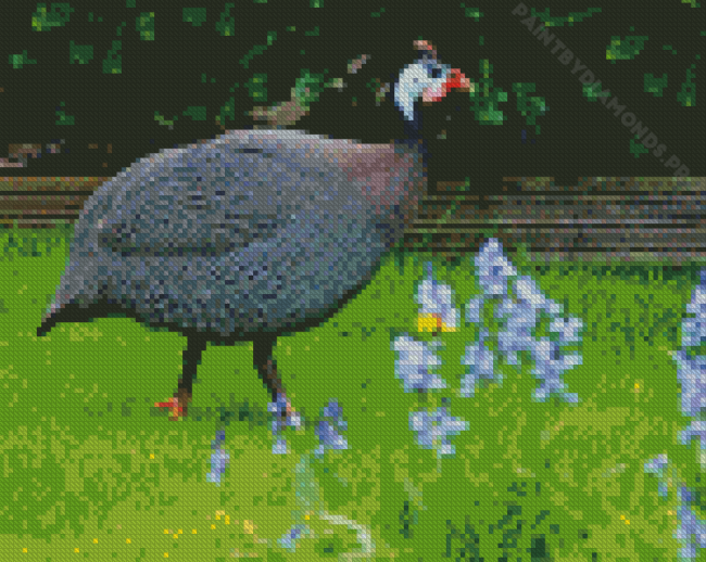 Guineafowl Bird Diamond Painting