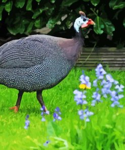 Guineafowl Bird Diamond Painting