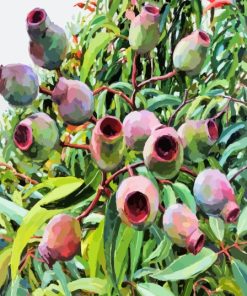 Gum Nuts Plants Diamond Painting