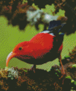 Hawaiian Honeycreeper Diamond Painting