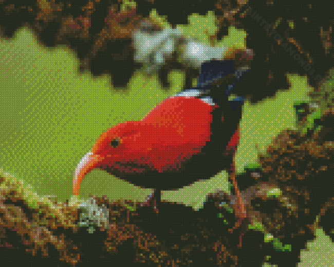 Hawaiian Honeycreeper Diamond Painting