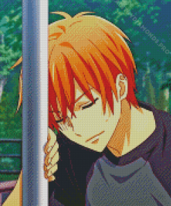 Kyo Sohma Diamond Painting