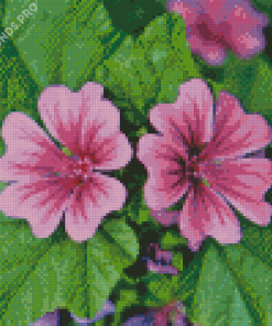 Mallow Flowers Diamond Painting